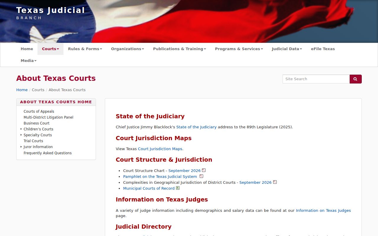 Texas court structure used to route Stonewall County court records